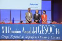 Reunión anual GESOC