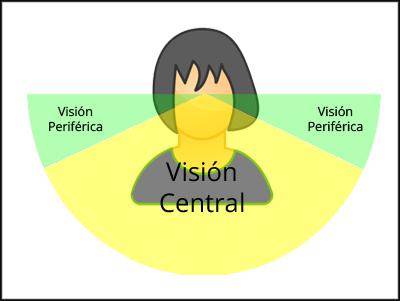 Esquema de visión central y visión periférica