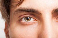 Primer plano ojo marrón hombre castaño