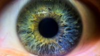 Primer plano ojo verde y azul