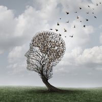 Ilusión óptica pájaros formando cabeza en árbol