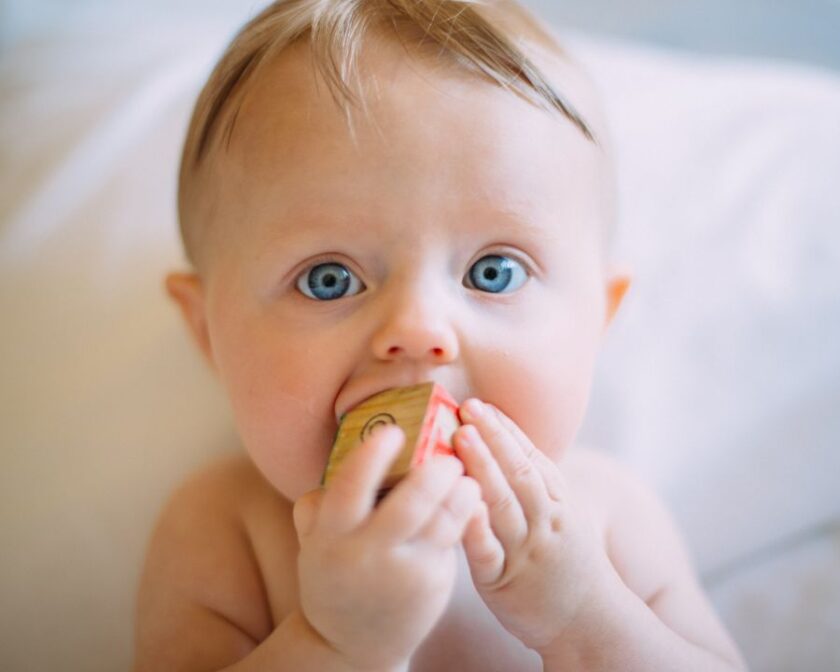 Bebé con los ojos azules chupa una pieza de madera
